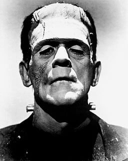 256px-Frankenstein's_monster_(Boris_Karloff)